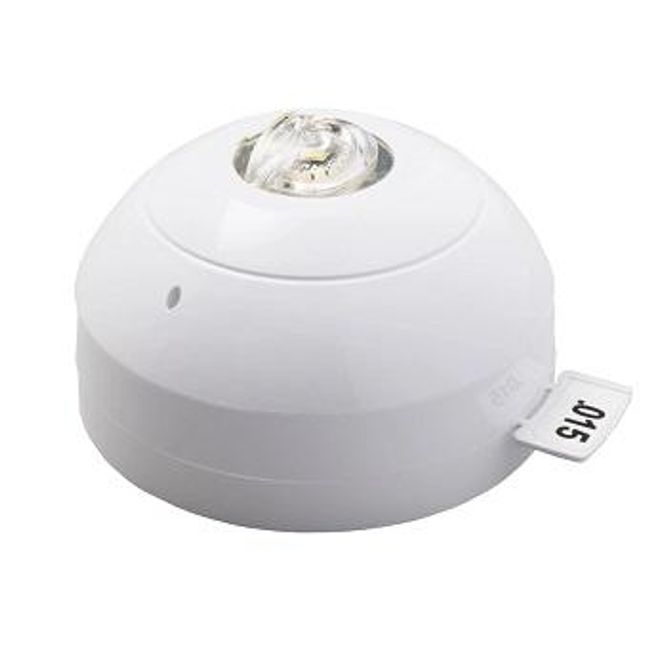 Hovedbilde XP95 Sløyfemontert VAD Hvit C-3-8 Hvit Flash